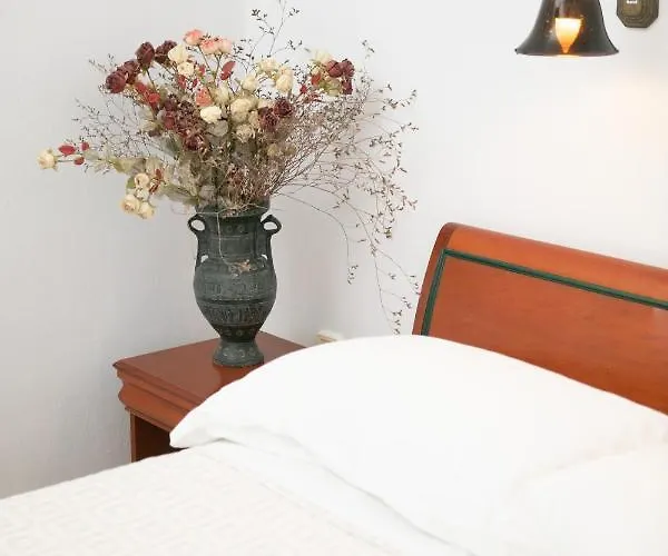 阿波罗酒店 Naxos City