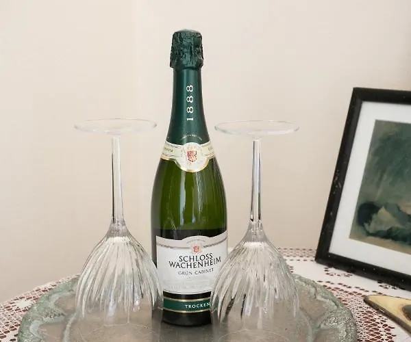 酒店 阿波罗酒店 2*